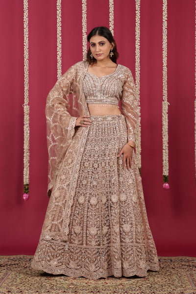 Light Brown Net Blouse with Full Zari, Mirror & Stone Work, Lehenga & Dupatta